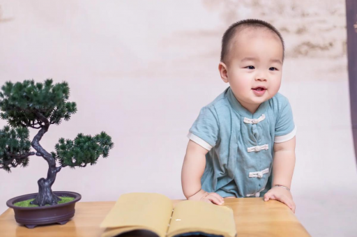 克孜勒苏柯尔克孜可爱的企鹅宝宝